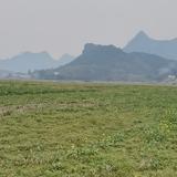 舒畅142头像