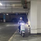 奇妙星球7oI头像