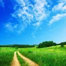 赤兔马的个人资料头像