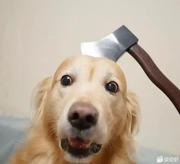 牛马大师兄的个人资料头像