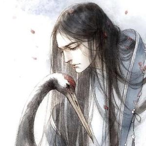 浮生吾之凋零头像