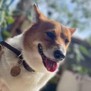 用户9336318552081的个人资料头像