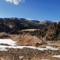 执着的微风Ih1头像