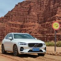 王大队长不开玩笑头像