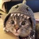 漫长的个人资料头像