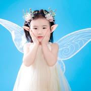 猪大强的个人资料头像