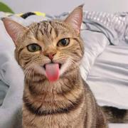 小陈小陈满目星辰的个人资料头像