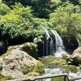 黎明16309头像