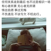 呆呆枫的个人资料头像