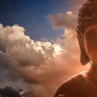 执着的苹果E头像