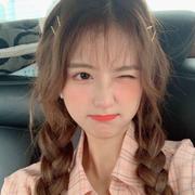 努力搬砖代码者的个人资料头像