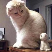 飞翔388的个人资料头像