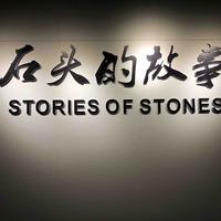 麦福兰德头像