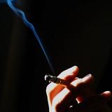 翅彪头像