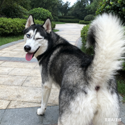 code掘墓者的个人资料头像