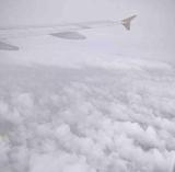 不爱吃芹菜阿头像