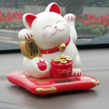 深沐科技头像
