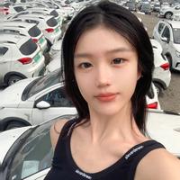 极诚新能源汽车头像