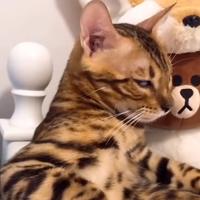 用户4797093726555头像