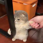 彩虹飞的个人资料头像