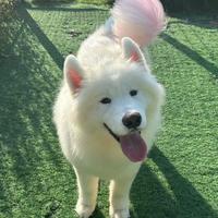 多玩火的火头像