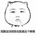 冰山上的野猪头像