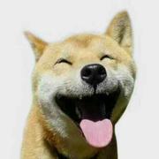 太阳神尼谱的个人资料头像