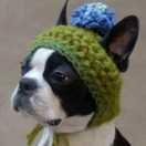 Mandyer47337的个人资料头像