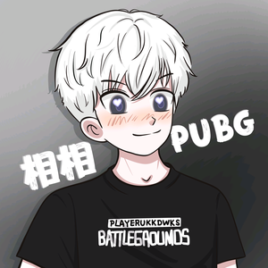 PUBG相相(图纸，枪皮)头像