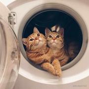 erick7w的个人资料头像