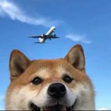 用户3829639040145头像