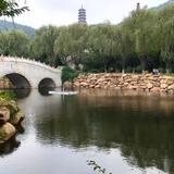 齐遗梦头像