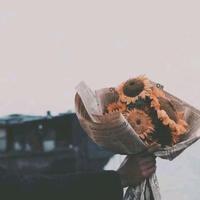 用户1880409988829头像