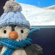 用户588372083527的个人资料头像