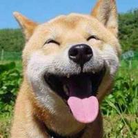 慈善艺术家丶头像