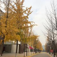 潭主72头像
