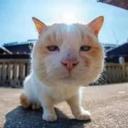 新起点938的个人资料头像