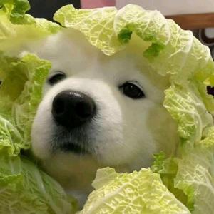 渡小丑头像