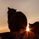 胡泽坤的个人资料头像