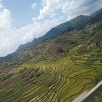 简单点4632头像