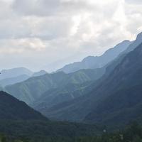 风姿卓越橙子u头像