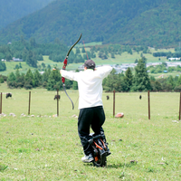 乐行天下乐骑平衡车店头像
