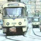 杨树根的个人资料头像