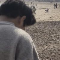 天台老表撒头像