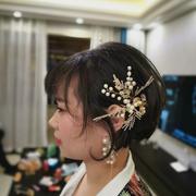 Bernard_Li的个人资料头像