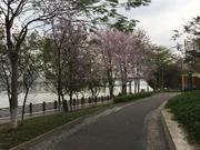 laoyao666的个人资料头像