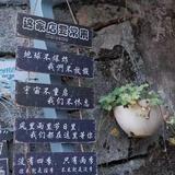 阿斌头像