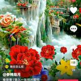 真心可贵头像