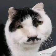 kxwei的个人资料头像