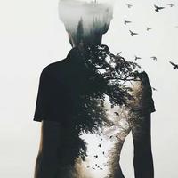 天涯灬过客头像